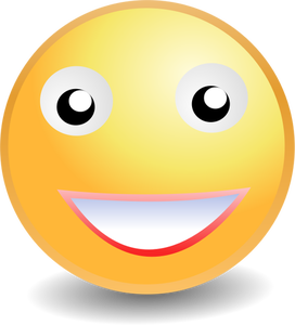 Smiley ladyface vector image