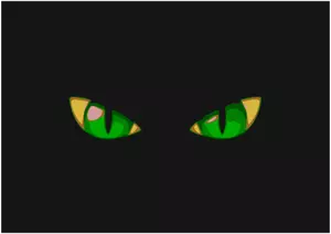 Cat's green eyes