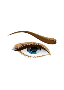 Vector graphics of brown eyebrow eye