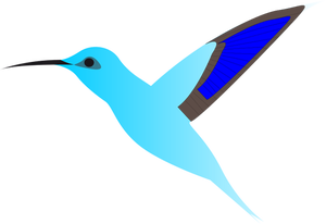 Graphics of humming bird in flight