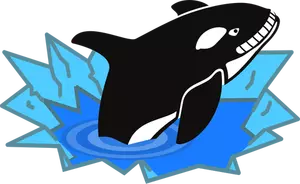 Imagine vectorială de mare orca zambind sadistically