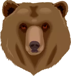 Grizzly bear's head vector clip art