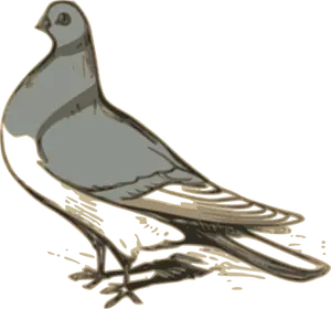 Image clipart vectoriel d'illustration pigeon gris
