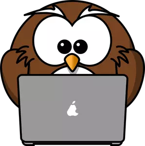 Owl with laptop vector drawing
