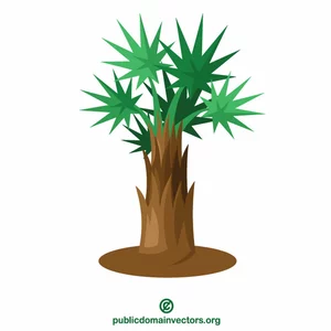 Palm tree plant