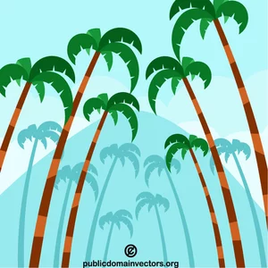 Yaz aylarında palmiye ağaçları