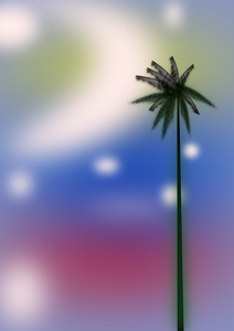 Palm below sky vector image