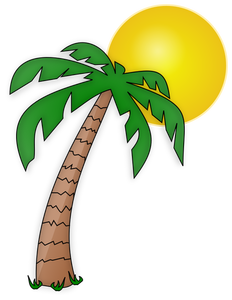 Palm tree and the Sun