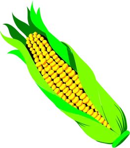 Color vector image of ar of corn