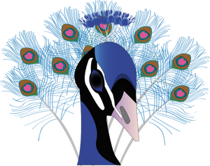 Drawing of peacock with a huge tail