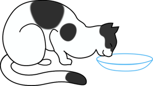 Cat drinking milk from pot vector image
