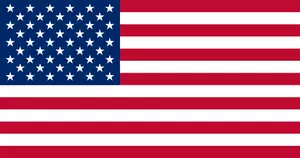 Flagget til USA vektorgrafikk