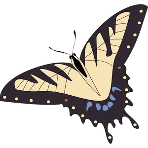 Vector image of tropical butterfly