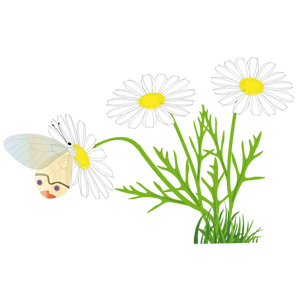 Papillon sur une image vectorielle de daisy