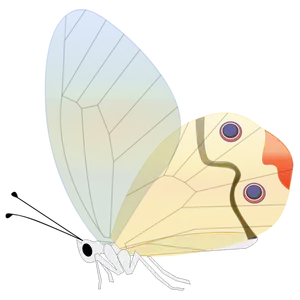 Tegneserie sommerfugl vector illustrasjon