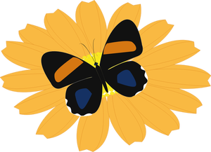 Gráficos de negra mariposa sobre una flor de naranja