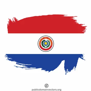 Painted flag of Paraguay