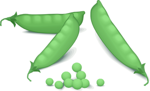 Green peas vector image