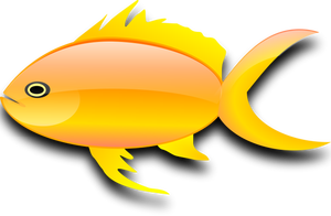 Vector image of glossy gold fish