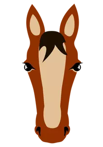 Hestens ansikt