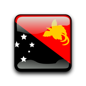 Papua Nya Guineas flagga vektor