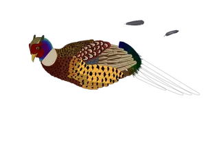 Vector clip art of unfinished pheasant