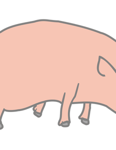 Image vectorielle de la sculpture orgami de porc
