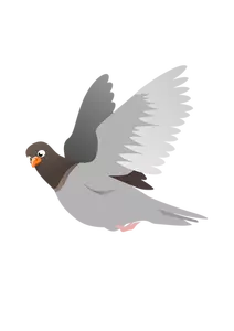 Imagem de vetor de pombo voador