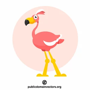 Pink flamingo bird