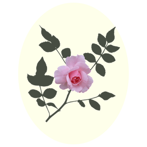 Roze roos vector afbeelding