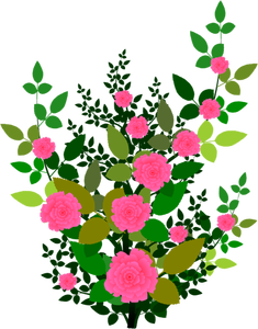 Růžové růže vektorové grafiky