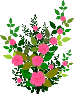 Mawar merah muda vektor grafis
