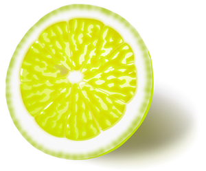 Citron eller lime vektorbild