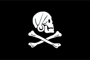Vektorové ilustrace pirátské vlajky s lebkou zadíval