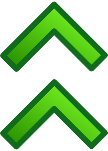 Double arrow pointing up vector image