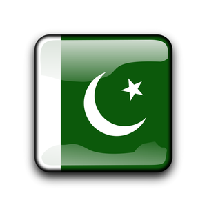 Bandiera del vettore Pakistan all'interno di forma quadrata