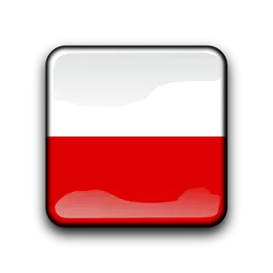 Polen vektor flagga inuti square