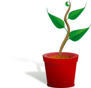 Zeichnung braun und grün Pflanze wächst in einem roten Topf