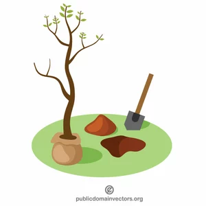 Plantando uma árvore nova