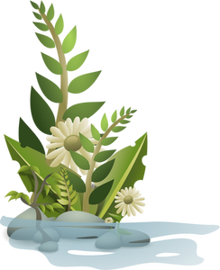 Graphiques vectoriels de sélection des plantes dans l'eau