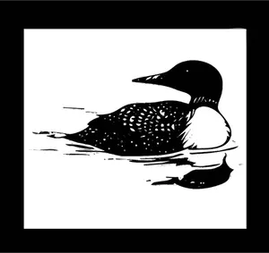 Vector drawing of loon on postage stamp