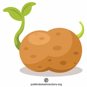Potatis grönsak