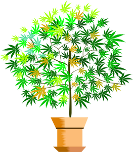 Immagine di vettore di pianta in vaso