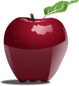 Photorealistic vector image of apple