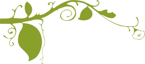 Decoratieve lagere plant vector afbeelding