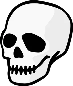 Scary skull with zipped mouth vector image