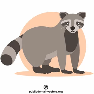 Raccoon animal sălbatic