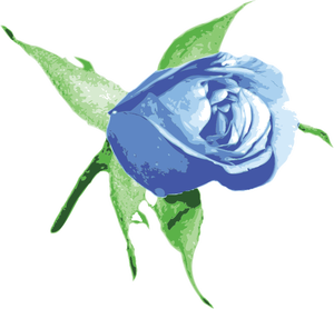 Blauwe roos vector afbeelding