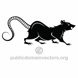 Black rat vector graphics