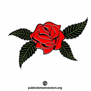Roślina kwiatu róży czerwonej